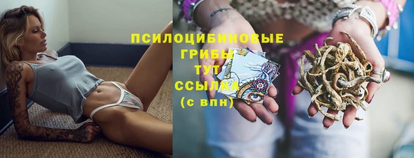 дживик Алексеевка