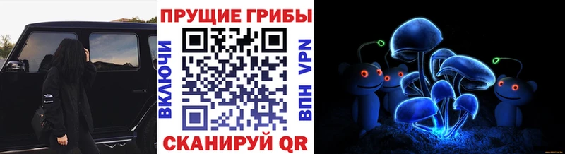Галлюциногенные грибы мицелий  Покров 