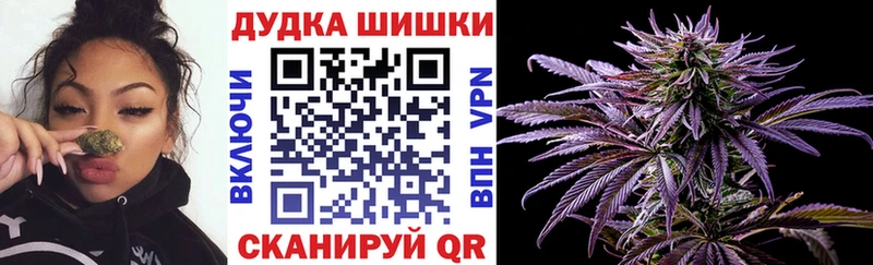 Бошки Шишки сатива Покров